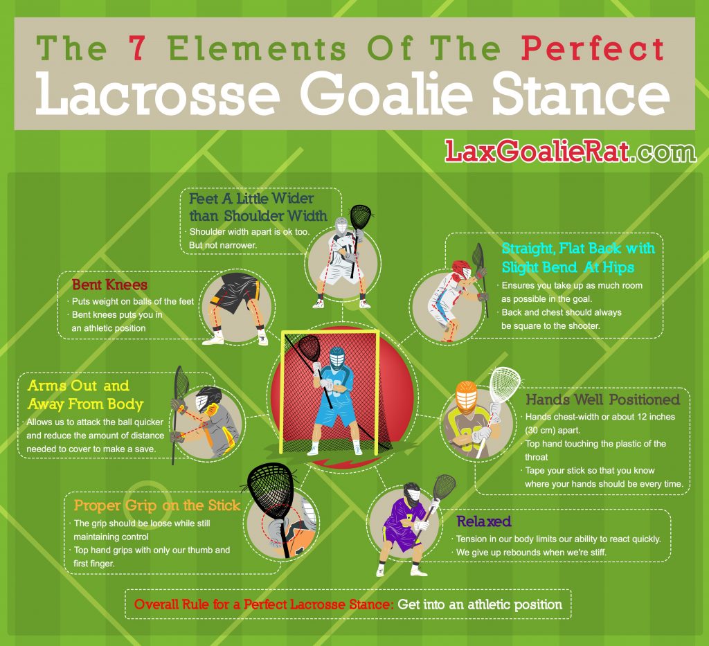 Lacrosse Goalie Stance [INFOGRAPHIC] Lax Goalie Rat