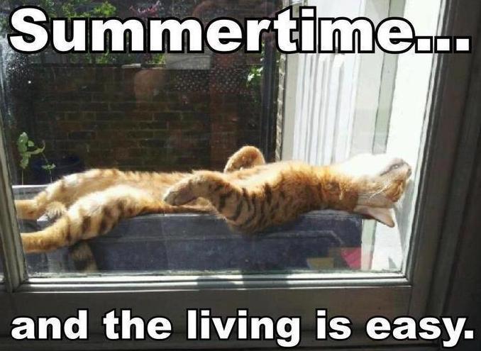Summer Time