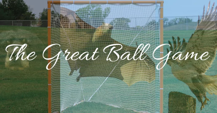 The Great Ball Game – The Origins of Lacrosse