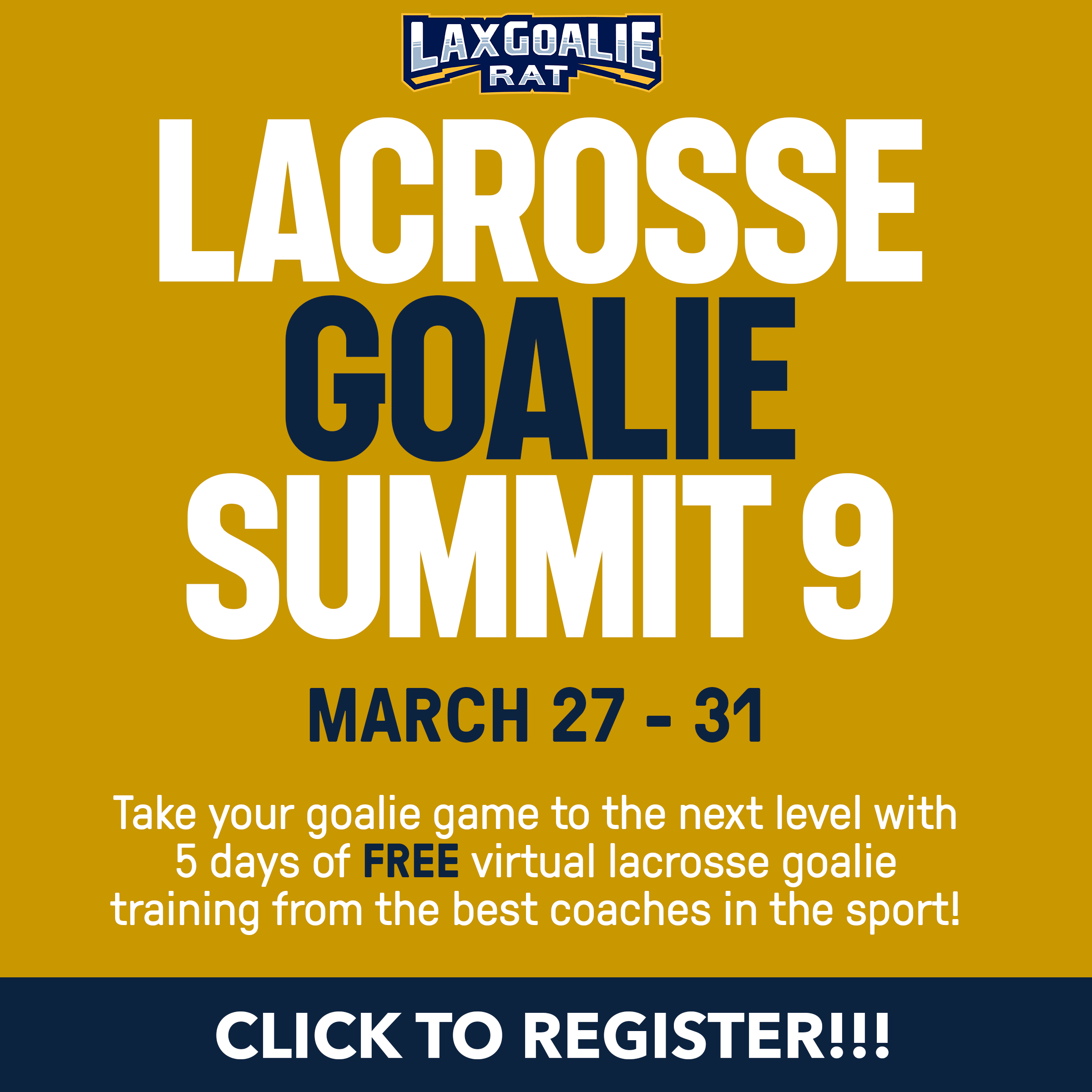 Lacrosse Goalie Summit