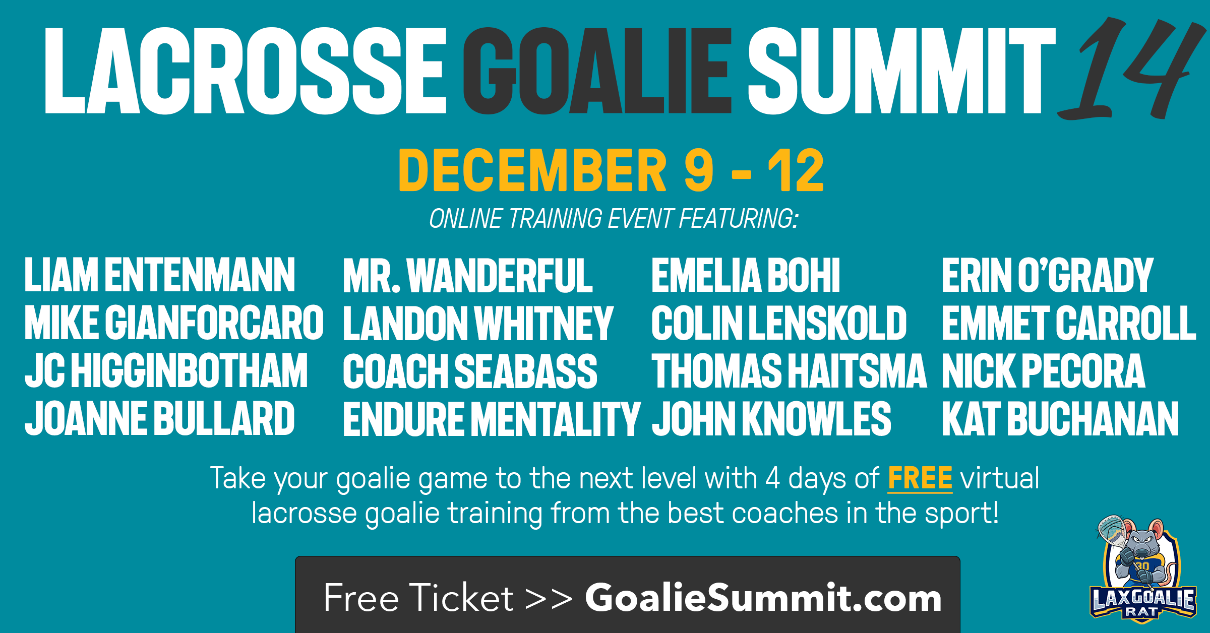 Lacrosse Goalie Summit 14