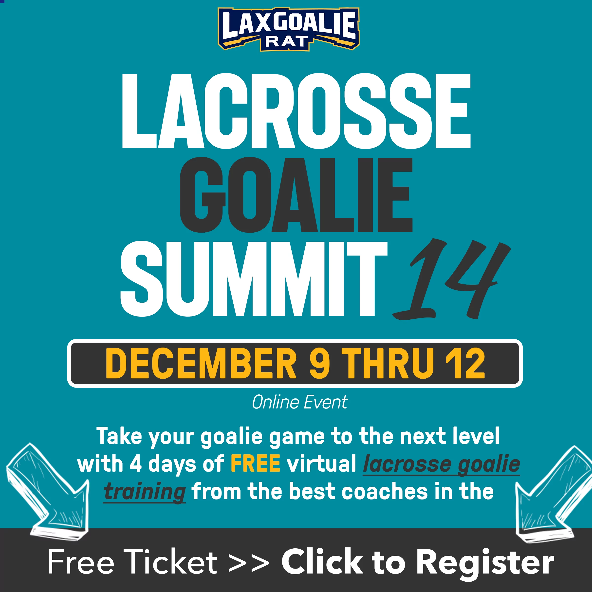 Lacrosse Goalie Summit